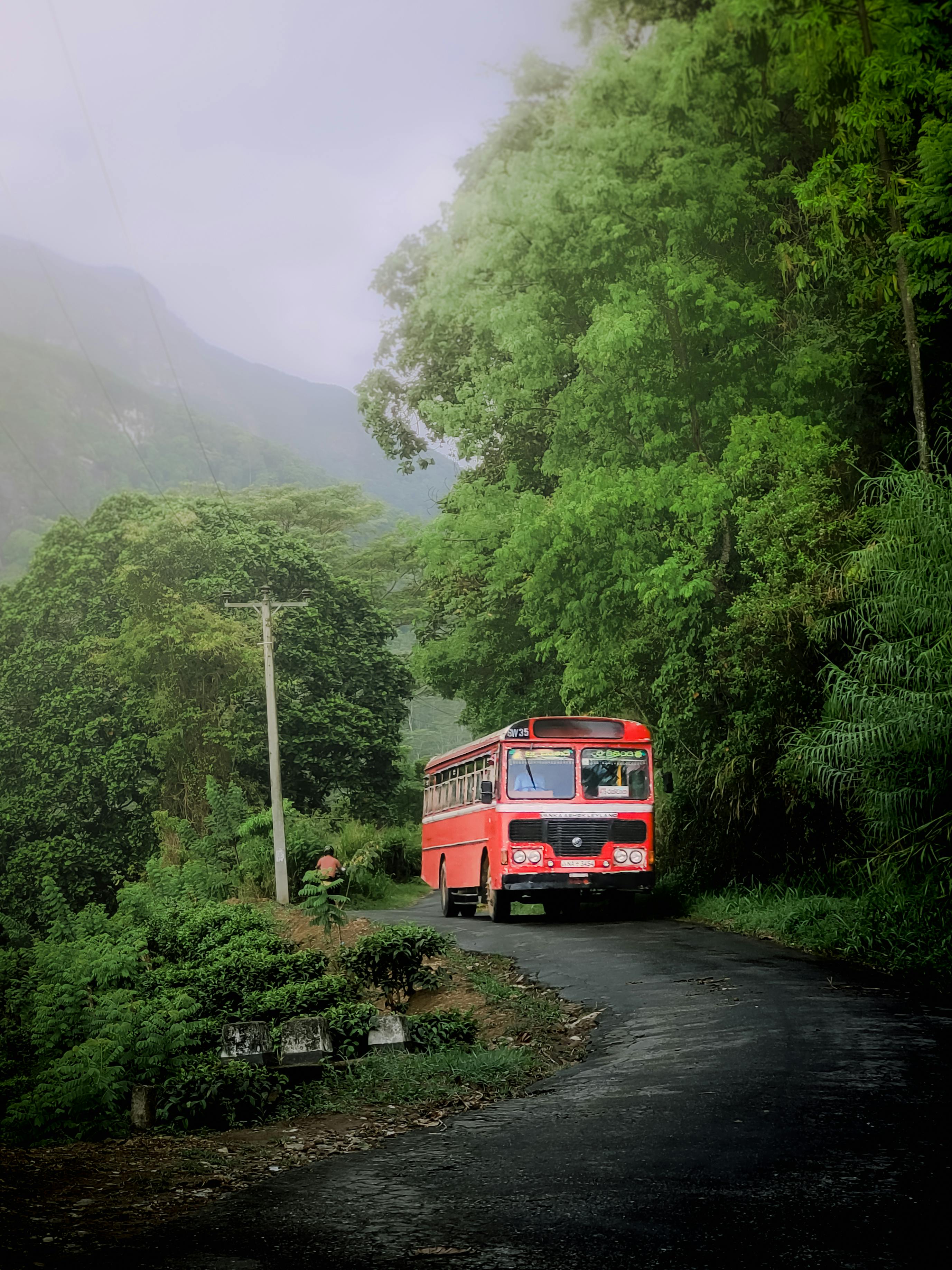 सार्वजनिक वाहतूक